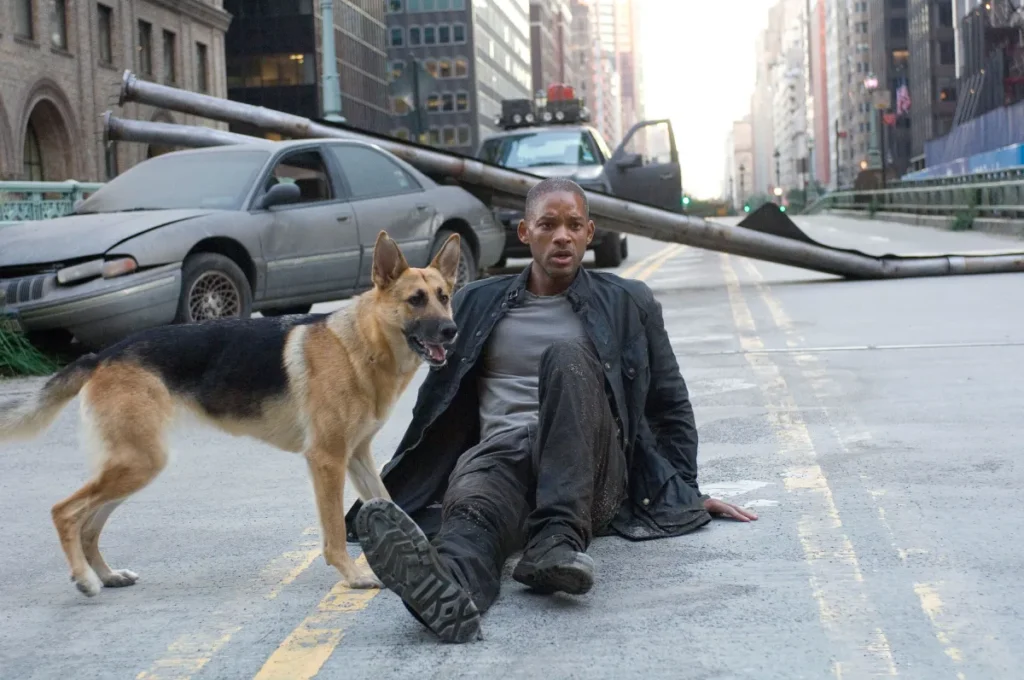 Robert Neville (Will Smith) and his faithful companion Sam are the last known survivors in a desolate, post-apocalyptic New York City in I Am Legend.