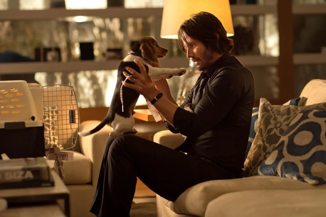 John Wick (Keanu Reeves) sitting on a couch, gently holding and looking at a small beagle puppy.